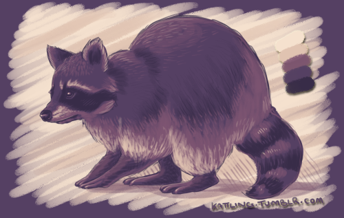 color-palettes sparkle animal challenge thingy again~ Raccoon vs. um something night?