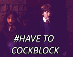 love-sempiternal:  THE BOY WHO COCKBLOCKED  THE COCKBLOCK WHO LIVED    Harry Potter and the Sorcerer&rsquo;s Cockblock