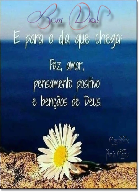 aa5237db2d1ccfbabd16509ec464ee5d66323b86