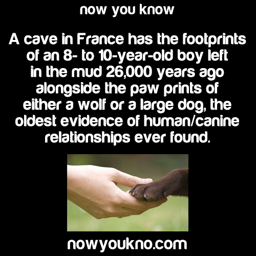 nowyoukno:  Source for more facts follow NowYouKno