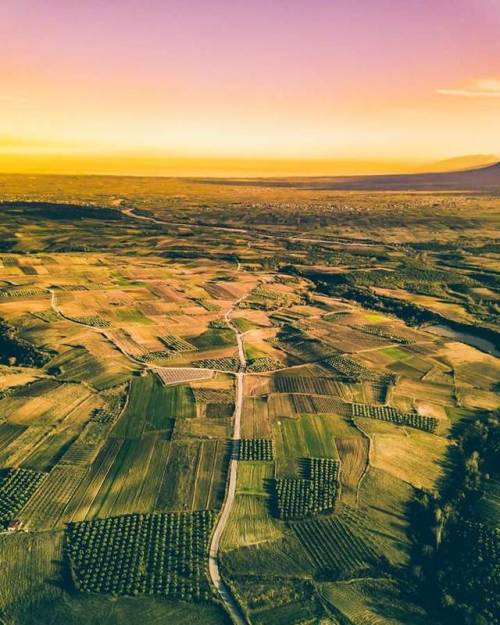 The Thessalian Plain in sunset