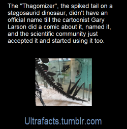 grimauxiliatrixofficial:  beetle-guy:  ultrafacts:  Source: [x] Click HERE for more facts!    