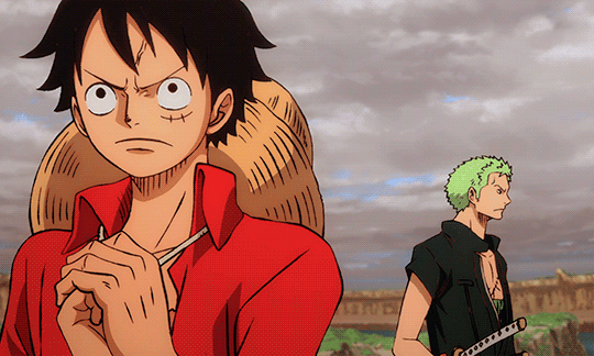 Zoro Understands Luffy