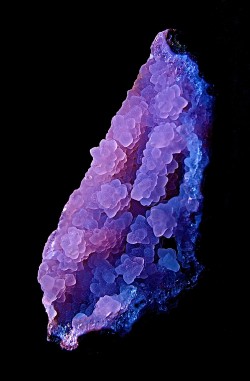 pyrrhic-victoria:  Chalcedony Crystal Formation