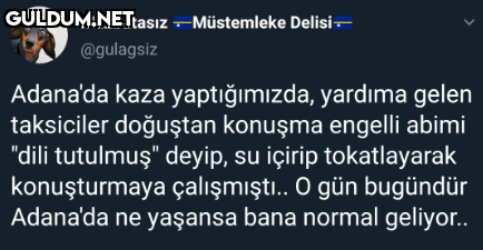 Mazbatasız -Müstemleke...