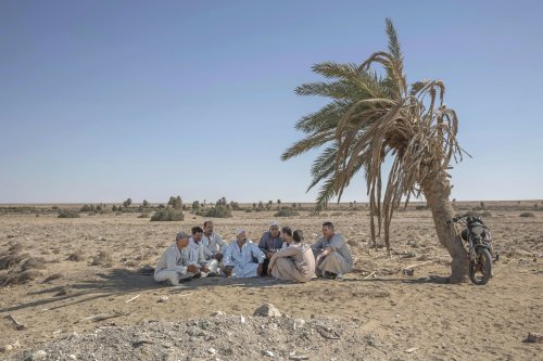 55-year-old Egyptian farmer Makhluf Abu Kassem, center, sits with farmers under shade of a dried up 