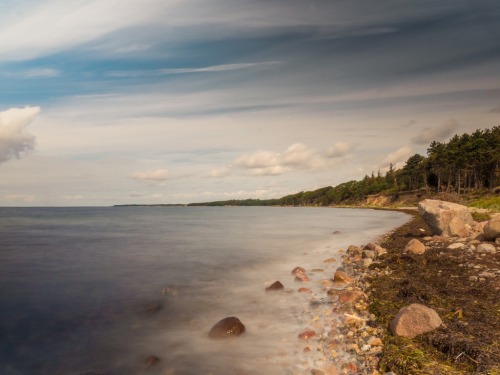 the forest vs the sea martin sundstrøm