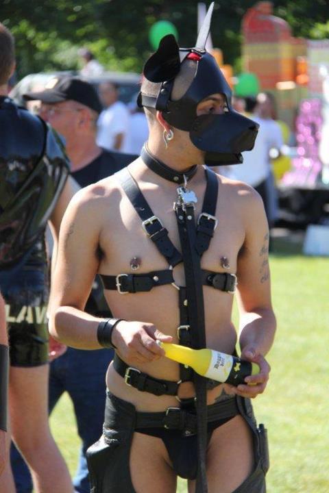 puptrouble:  Denver pride 2012 