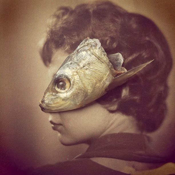 2headedsnake:  Susan Blasco 