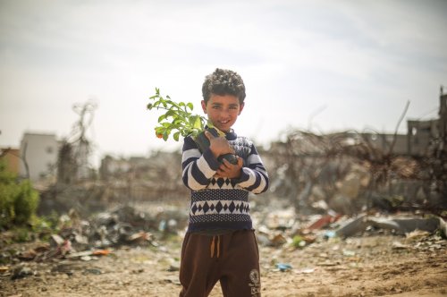 biladal-sham:Palestinian children plant flowers among the debris of buildings demolished by the Isra