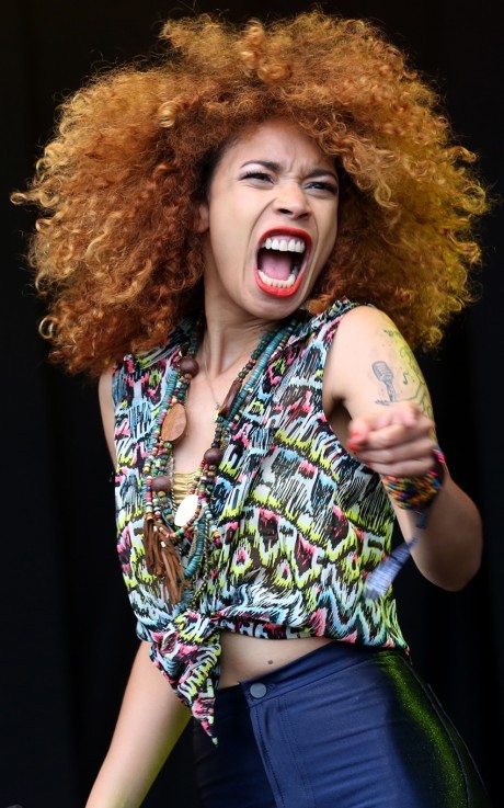 moretreeslessnudes:  Flavia Coelho, WOMAD 2013 