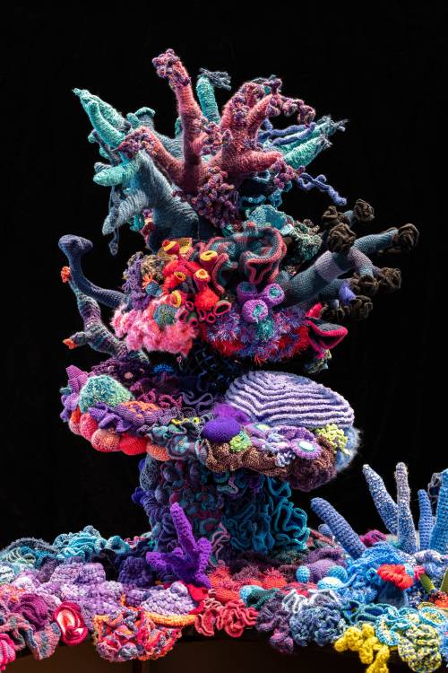 elodieunderglass:arachnaetheyarnspider: itscolossal: A Vibrant Coral Ecosystem of Thousands of Croch