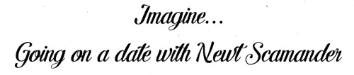 harleys-imagines: “You look wonderful” Newt smiled “are you ready to go?”