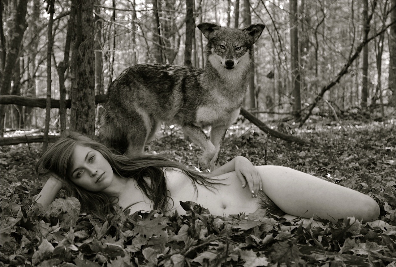 missfiddlehead:MSL photographystones38.tumblr.com