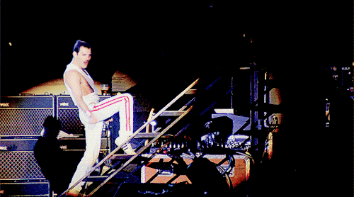 myfairyqueenmercury:Live in Budapest, July 27, 1986.