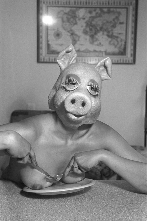 thebruisedfairy:  tearsandbloodmakethebestlube:  “Kill the pig, kill the pig”  @baby-pig I don’t know if you saw this yet