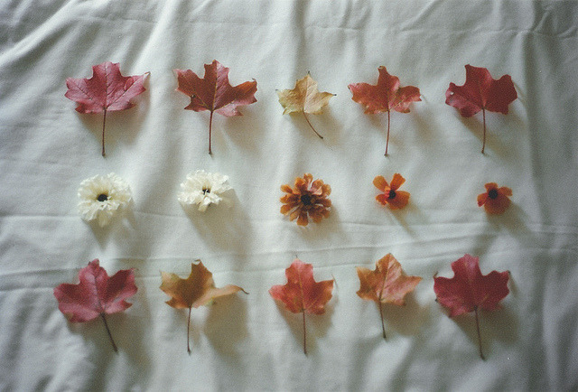 derivings:  untitled by jessicacelebre on Flickr. 
