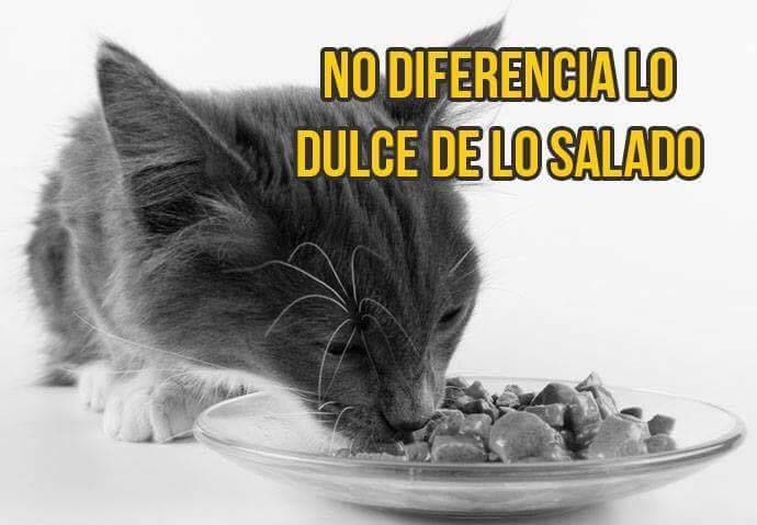 finofilipino:  Conclusión: Muy pronto nos dominarán.