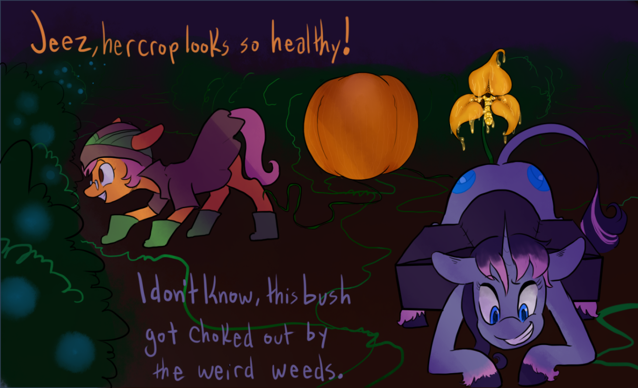 charlie-bad-touch:  As promised, after 3 days Honeypot and Purple Haze go off to