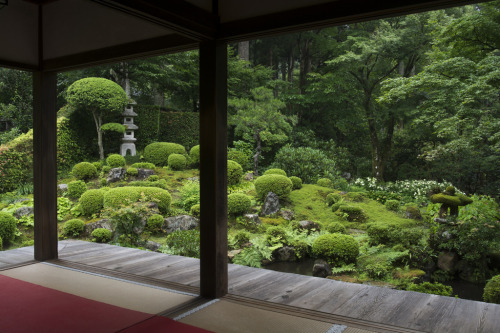 iesuuyr: Shuhekin Garden 聚碧園 by Patrick Vierthaler