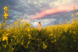 flashofgod:  Ryan McGinley, Mustard Meadow,