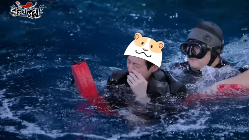 How Come The Hamster Cap Appeared Every Time Seokjin Fell Into Water (but This Only Happened To Seokjin)