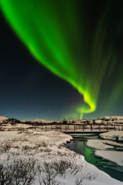 satakentia:Over the RiftÞingvellir, Suðurland, Icelandby Kaspars Dzenis