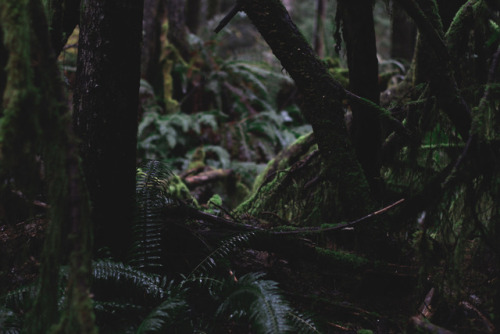 amandakaynorman:Granite Falls, Washington