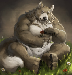 ralphthefeline:A silly wolf is picking petals