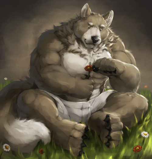 ralphthefeline:A silly wolf is picking petals porn pictures