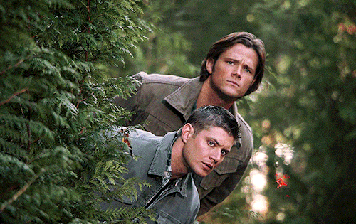What The Hell's Going On In This Town? First There's A Ghost That's Not Real, And Now A Bigfoot Sighting?