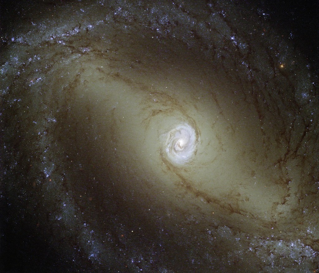 Active Galaxy NGC 1433 by NASA Hubble