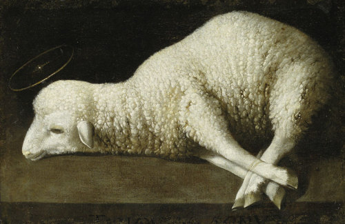 theories-of:Francisco de Zurbarán, Agnus dei, ca. 1635-1640, Oil on canvas, 35,56 x 52, 07cm