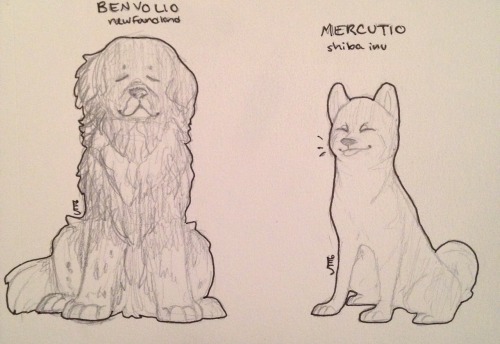 tycutiovevo:rosblogs:tycutiovevo:romeo and juliet dog au!! @thatdreamersoftenlie and i came up w thi