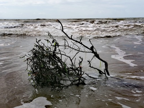 Washed Up.