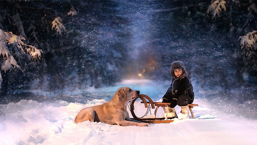 zipping:  Elena Shumilova is a Russian photographer who takes these beautiful photos