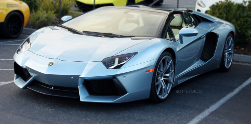 automotivated:  Aventador Roadster (by BottleofJo) adult photos