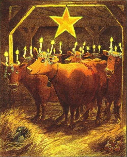 Mama Moo and &lsquo;the girls&rsquo; sing the Lucia song&hellip; Kråkan &ndash; to the left &ndash; 
