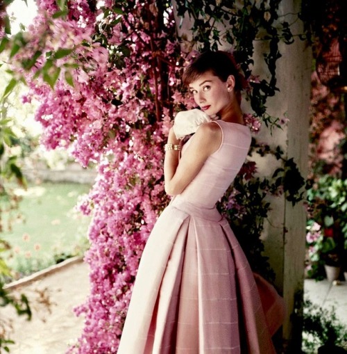 summers-in-hollywood:Audrey Hepburn, 1955. Photo taken by Norman Parkinson