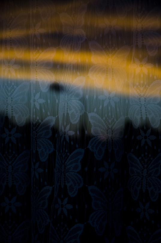 annnphoto