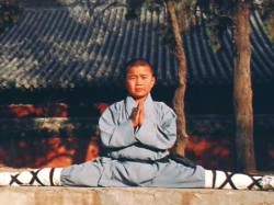 kungfutaichionline:  The Shaolin Kungfu is an outstanding representative of the Chinese Wushu culture, and is the most representative performance form of the Shaolin culture.
