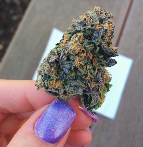 princessdabber:you should’ve seen my face when I opened the baggie and saw this 😈
