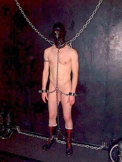 maleslavetrainer:  Sensory isolation, being unable to move much, being displayed nude… all of these things are good training and mentally break a slave. Aside from just being visually entertaining.