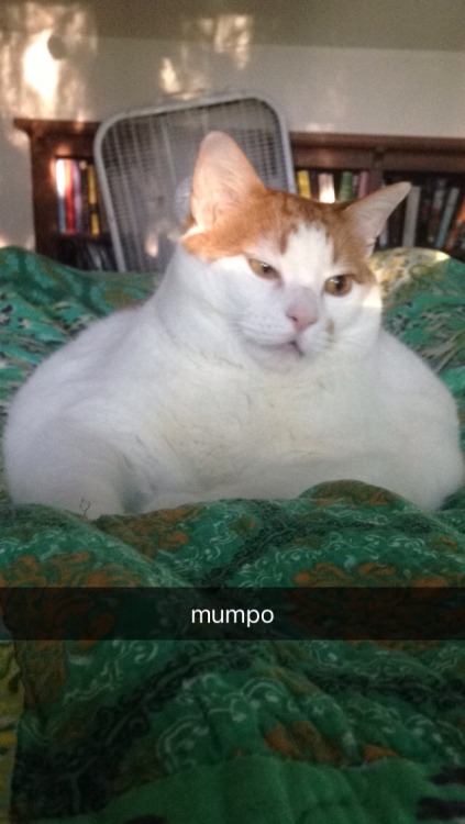 mumpo