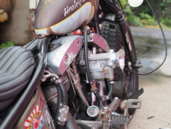 bikerkim62:  Shovelhead rules