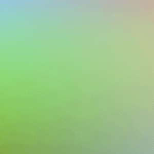 Colors