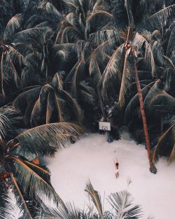 https://64.media.tumblr.com/80b84e877a6a8af717312d0947f75f74/tumblr_p71gijGGQD1vk26fvo1_500.jpg