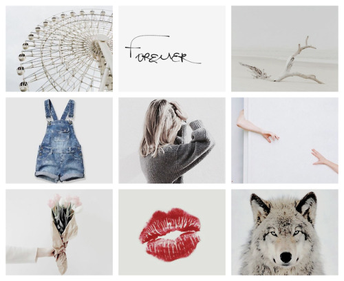 bennettxgemini: moodboards: who squad ➡  Rose Tyler “You don’t just give up.You don