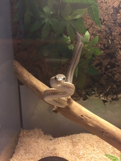 the-long-dog:missmariemariana:Reese being a cutie <3Reese Slitherspoon looks like she’s got her w