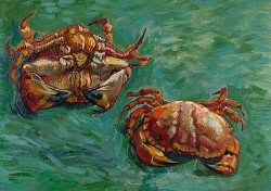 artist-vangogh:  Two Crabs, 1889, Vincent